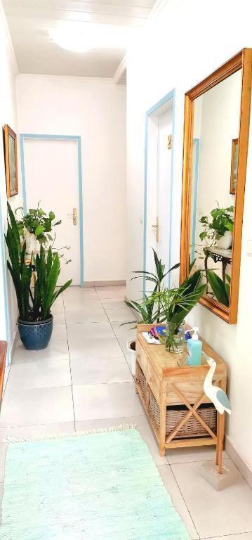Gjestgiverier & Flower - Private Bedrooms Funchal (Madeira)